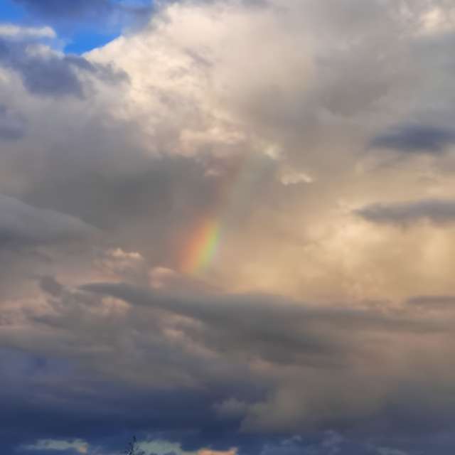 天气预报，带Leonhartit精美的照片