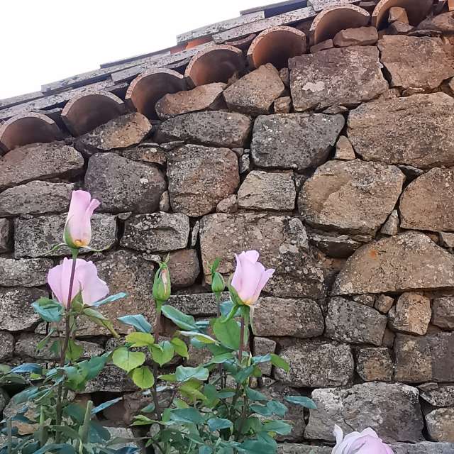 Weather forecasts with beautiful photos by CalligraphyELA