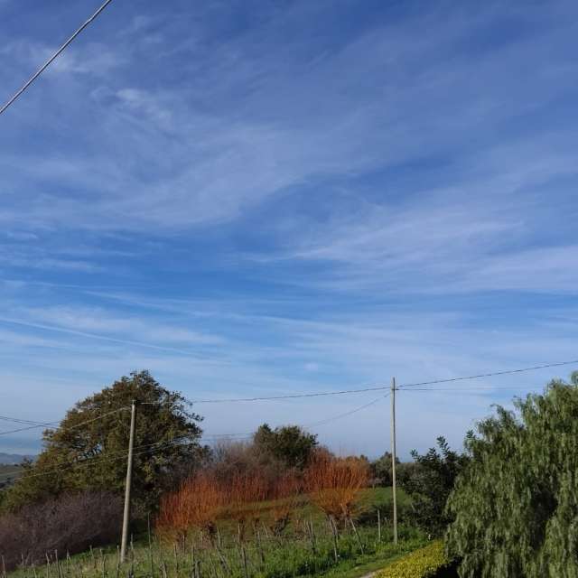 Weather forecasts with beautiful photos by Andbot_