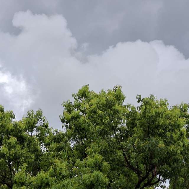 Green. Weather forecasts with beautiful photos by Yvonne Huang Photos in World