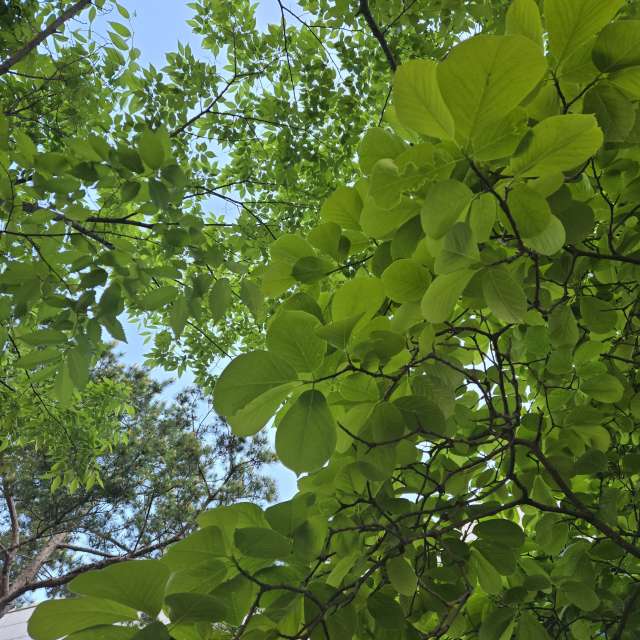 Prévisions météo avec de superbes photos de Jessica_A