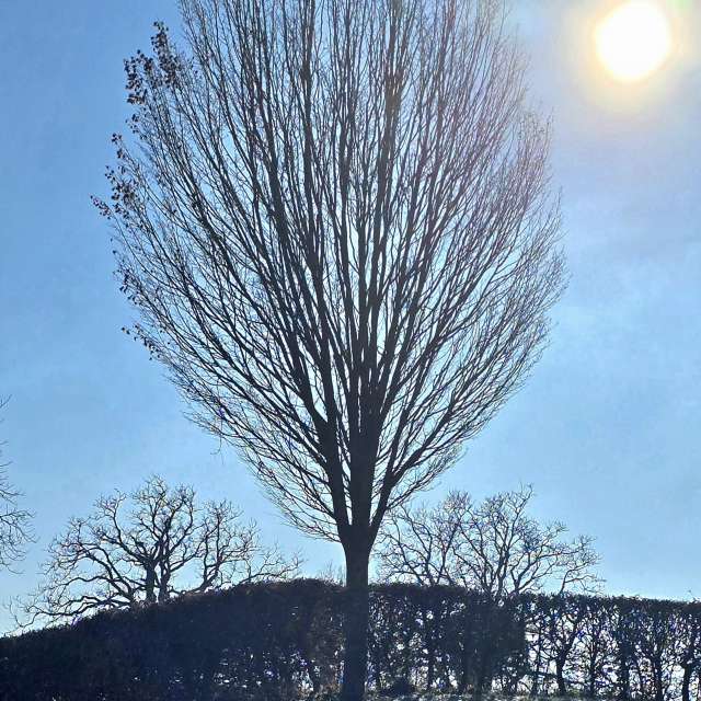 Wettervorhersagen mit schönen Fotos von Hela