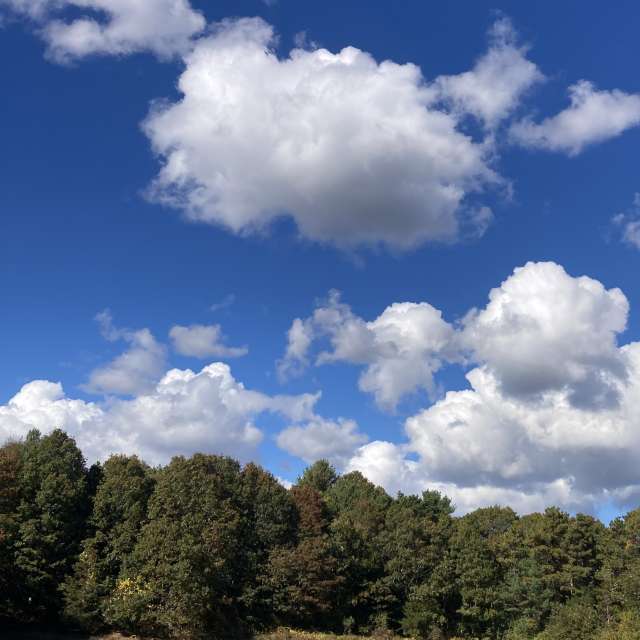 Fotos del Pasto. Pronósticos del tiempo con hermosas fotos de prairiesands en Cape Cod