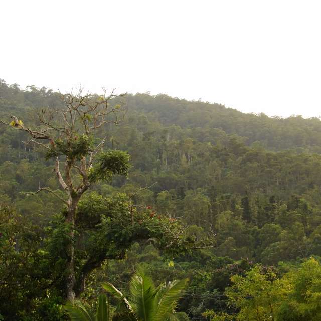 Previsões do tempo com lindas fotos de lcruz23