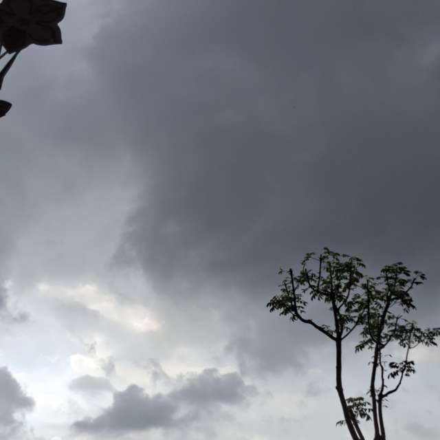 Going. Weather forecasts with beautiful photos by Wen-ya Huang Photos in Kaohsiung City