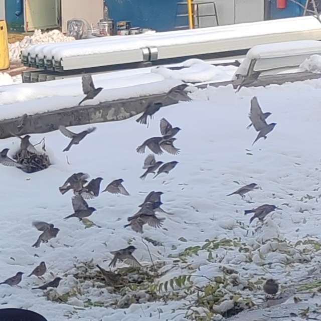 Rlz29671の美しい写真による天気予報