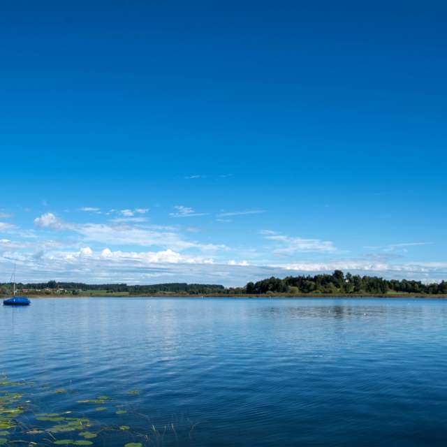 天气预报，带Airene精美的照片