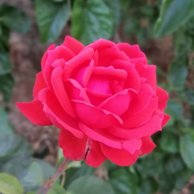 Weather forecasts with beautiful photos by Jess88