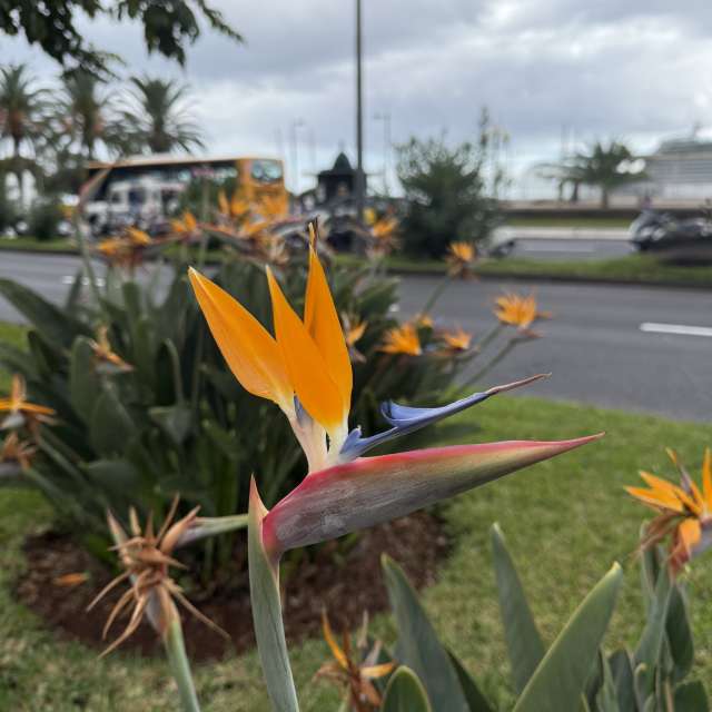 Weather forecasts with beautiful photos by Oksy