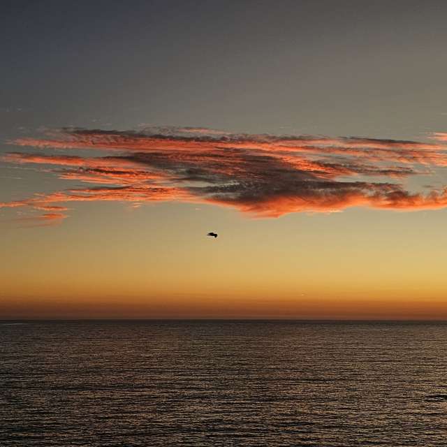Weather forecasts with beautiful photos by Rosa