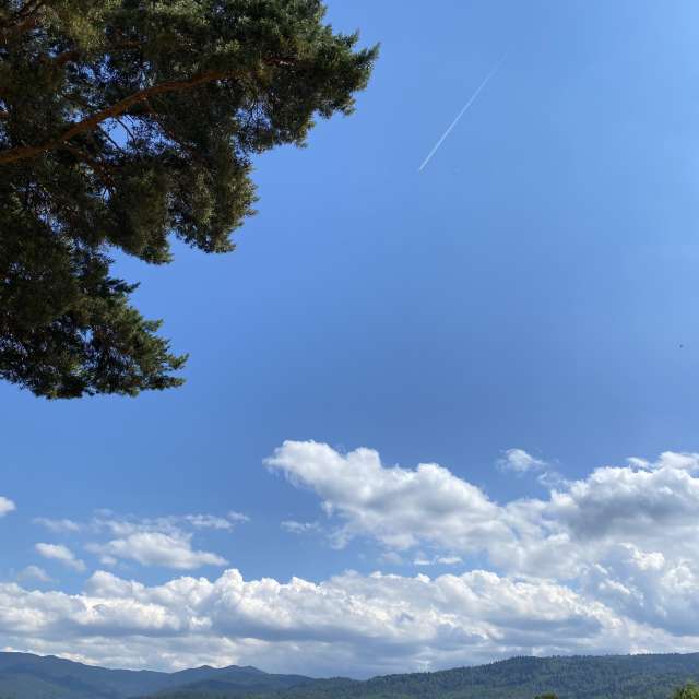 Photos Herbe. Prévisions météo avec de superbes photos de cigov de язовир Батак, местност Цигов Чарк