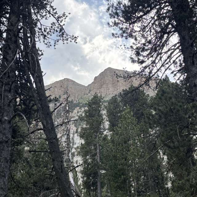 Прогнозы погоды с чудесными фотографиями, сделанными Kiko de Brugada