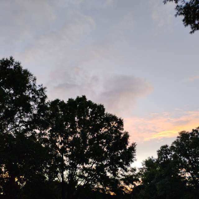 Front. Weather forecasts with beautiful photos by Awcat Photos in Riverwalk Parkway