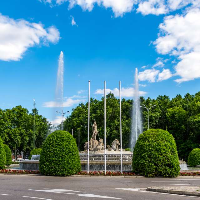 Green. Weather forecasts with beautiful photos by Geo23 Photos in Madrid