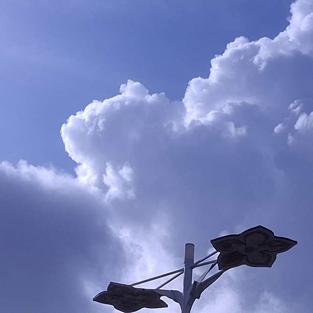 Fotos Lutador. Previsões do tempo com lindas fotos de Wen-ya Huang em Kaohsiung City