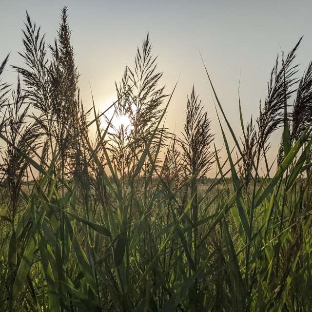 Weather. Weather forecasts with beautiful photos by tony5636 Photos in Calvisson