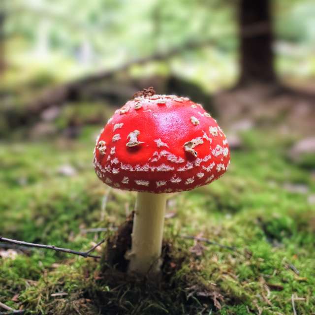 Wettervorhersagen mit schönen Fotos von Lotti5507