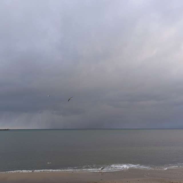 Fotos Nublado. Previsões do tempo com lindas fotos de Михаил Бондаренко em Pionerskiy