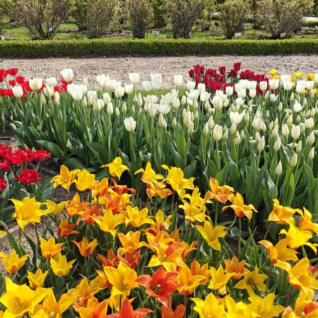 Previsões do tempo com lindas fotos de newgen