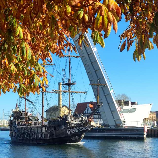 Leafs. Weather forecasts with beautiful photos by _Sana_ Photos in World