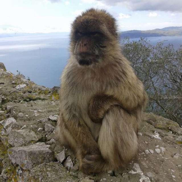 Weather forecasts with beautiful photos by Leones