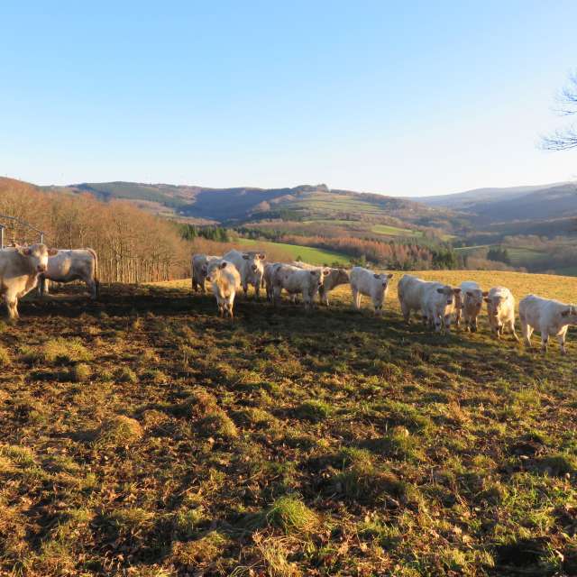 Weather forecasts with beautiful photos by MariePhotos