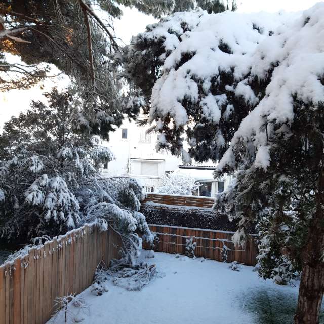 Прогнозы погоды с чудесными фотографиями, сделанными Ninette