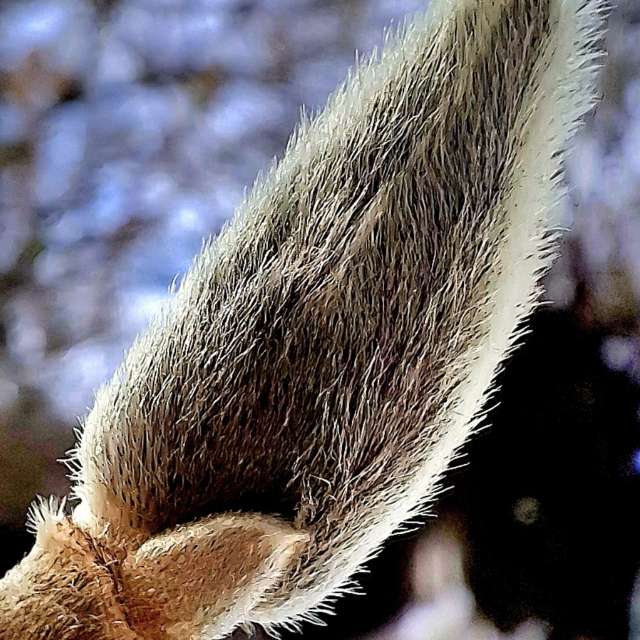 Dự báo thời tiết với những bức ảnh đẹp của Steffi316