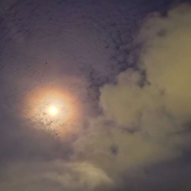 Star. Weather forecasts with beautiful photos by Wen-ya Huang Photos in Kaohsiung City