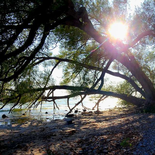 Wetter Photos Welt. Wettervorhersagen mit schönen Fotos von KevinG