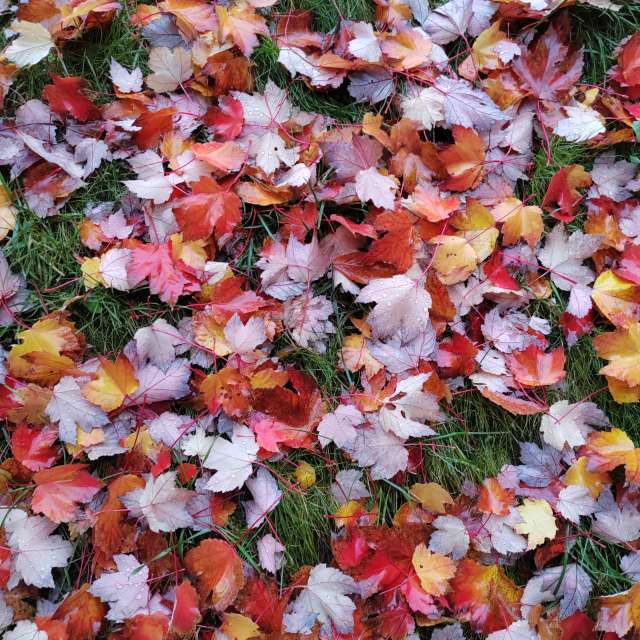 Wettervorhersagen mit schönen Fotos von Albert_Smelovtsev