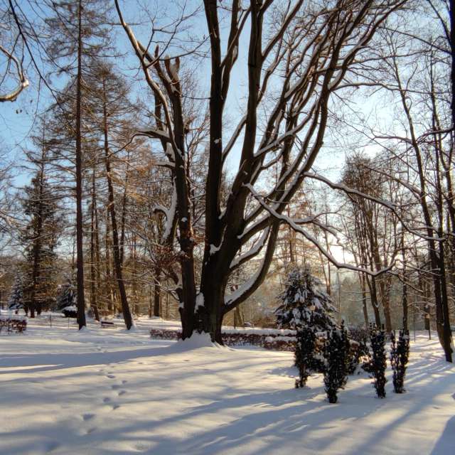 Kreuzen. Wettervorhersagen mit schönen Fotos von Kripo Fotos Ladek Zdroj