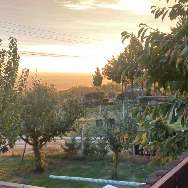 天气预报，带Boban精美的照片