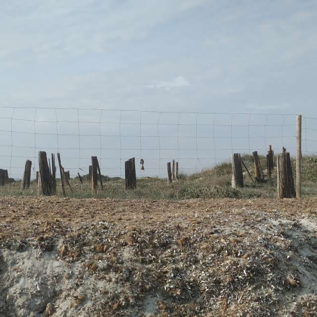 Weather forecasts with beautiful photos by Siulasem