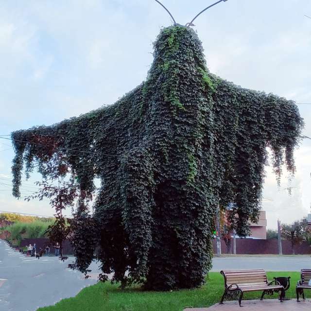 世界的天气照片. 天气预报，带Olena-13精美的照片