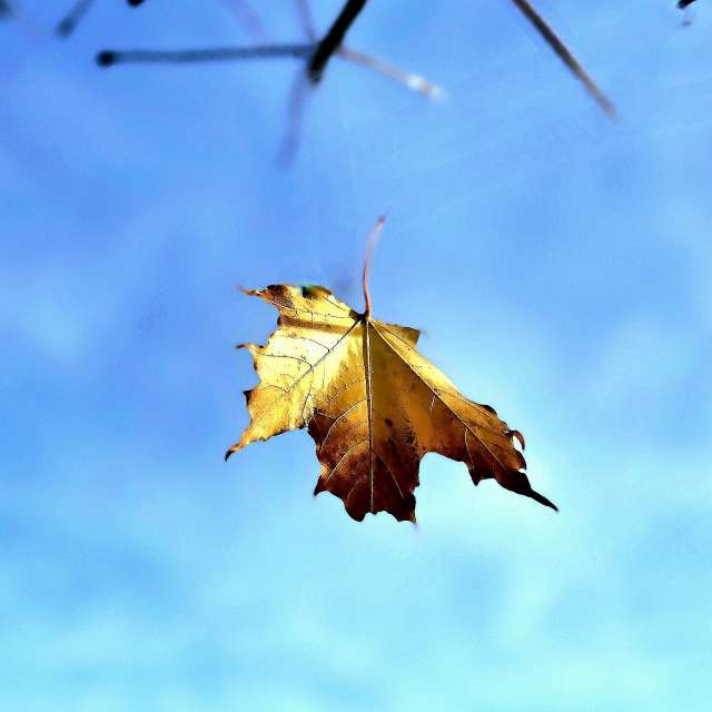Jesen. Wettervorhersagen mit schönen Fotos von Hela Fotos Bayern