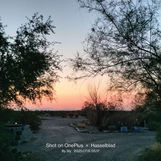 MsSlyの美しい写真による天気予報