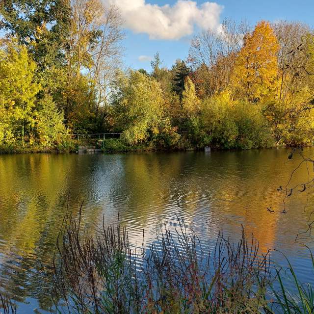 Previsões do tempo com lindas fotos de MaLou