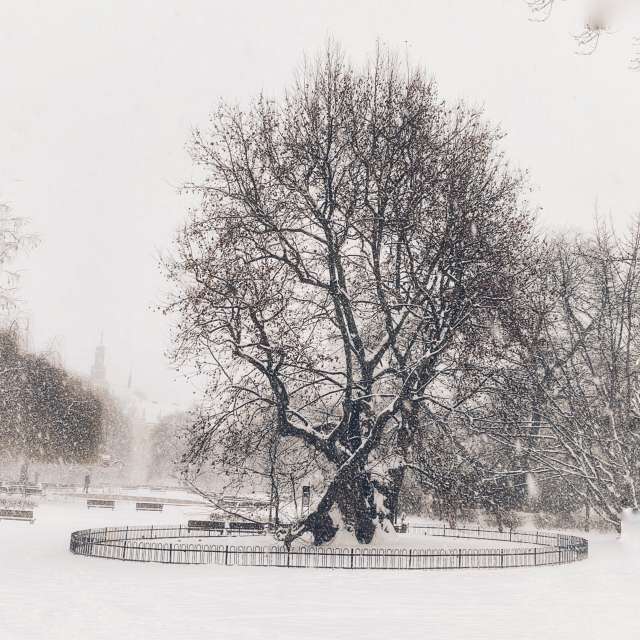 George Popoの美しい写真による天気予報