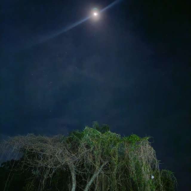 Weather forecasts with beautiful photos by Kimivagner