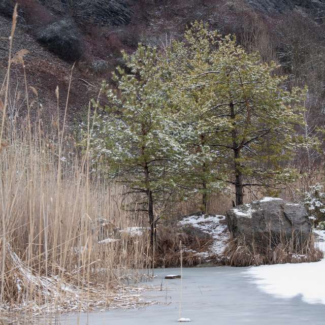 Pronósticos del tiempo con hermosas fotos de Paul57