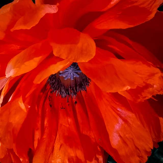 Bunt. Wettervorhersagen mit schönen Fotos von Terraza74 Fotos Lwiw