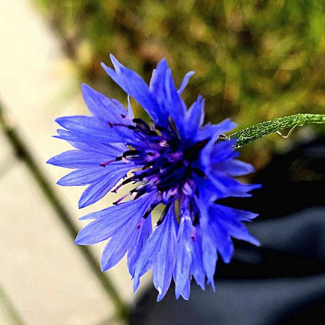 Priroda. Wettervorhersagen mit schönen Fotos von Hela Fotos Bayern