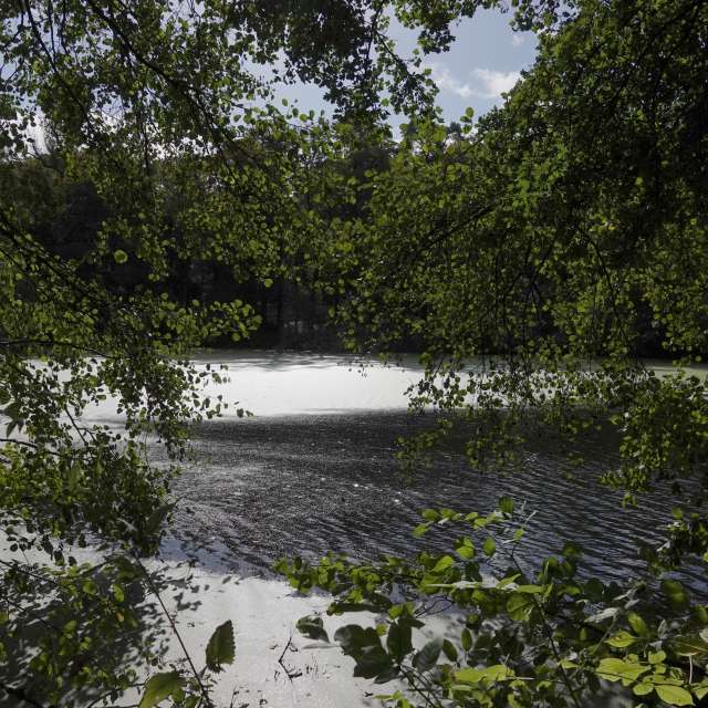 Fotos Vento. Previsões do tempo com lindas fotos de Vasek325 em Praha 4