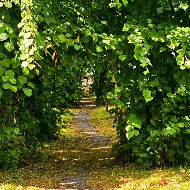 Fotos Trilha. Previsões do tempo com lindas fotos de Seni em Velbert