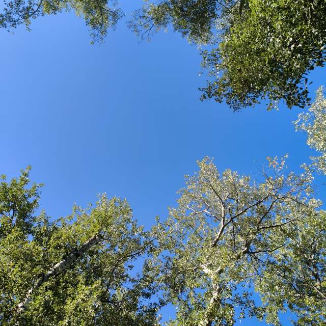 Grazing. Weather forecasts with beautiful photos by InnaMoon Photos in Chisinau