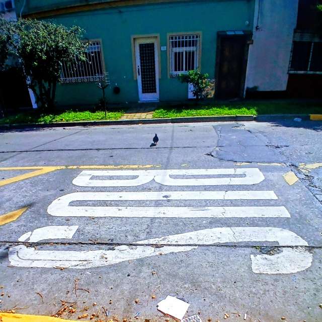 Weather forecasts with beautiful photos by SEBASTIAN14