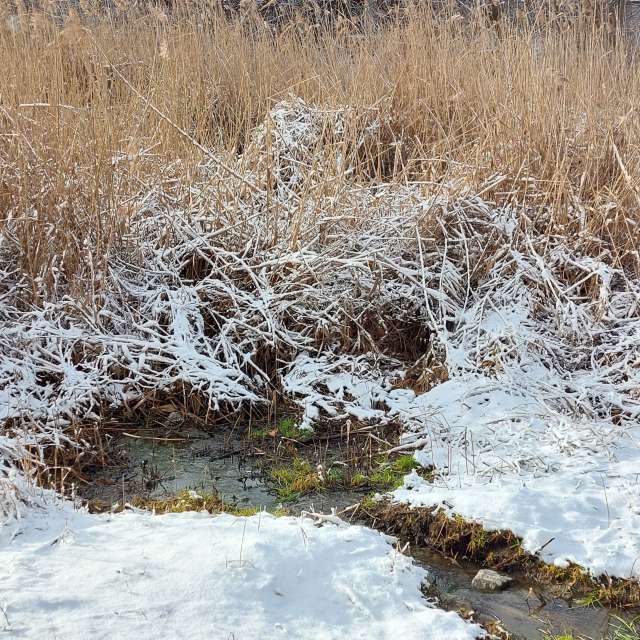 Open air. Weather forecasts with beautiful photos by Iryna Photos in Kharkiv
