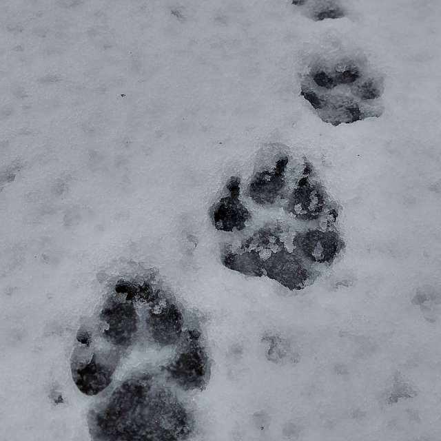 Direction. Weather forecasts with beautiful photos by Iryna Photos in Kharkiv