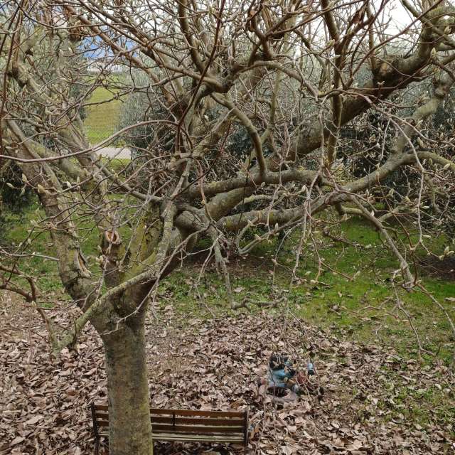 Weather forecasts with beautiful photos by Ermanno